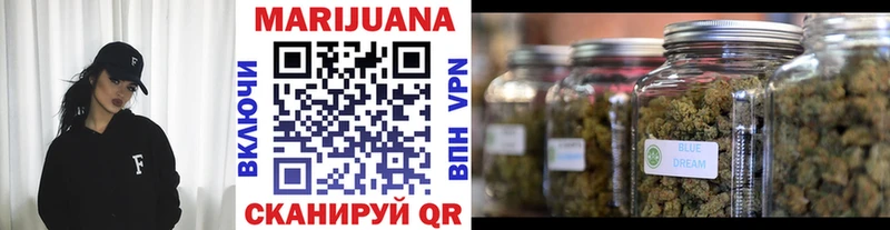 Виды наркотиков купить Новозыбков Alpha PVP Псилоцибиновые грибы Cocaine Канабис