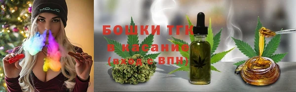 метадон Богданович
