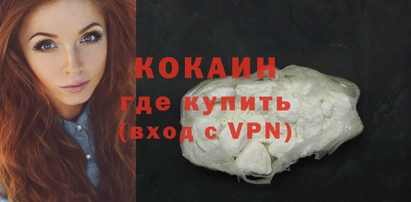 метадон Богданович