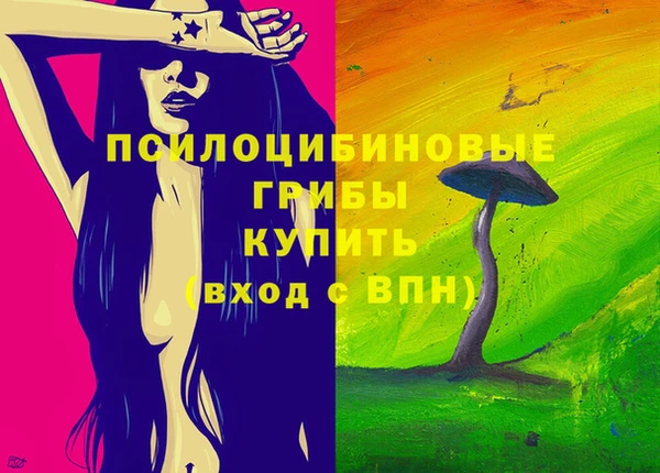 метадон Богданович
