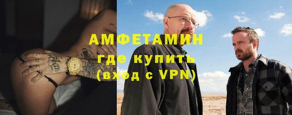 метадон Богданович