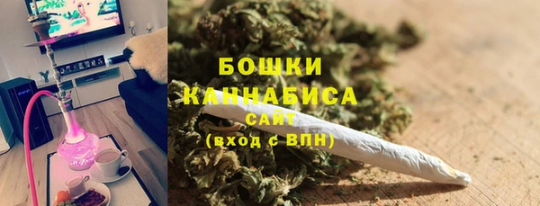 метадон Богданович