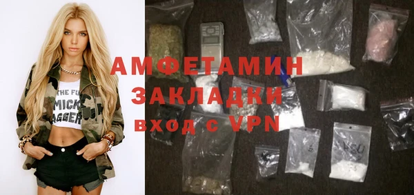 метадон Богданович