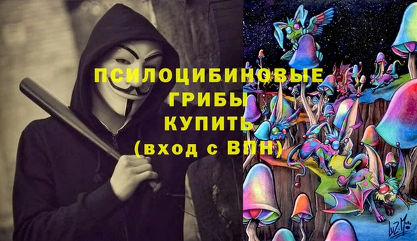 прущие крисы Богородицк